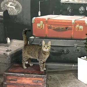 2* Inn Sacvoyage